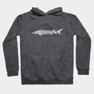 Hand drawn Sturgeon Fish design Hoodie